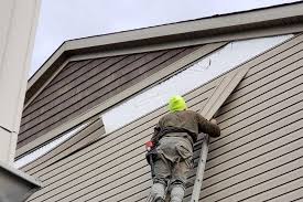 Best Insulated Siding Installation  in Prosperity, WV